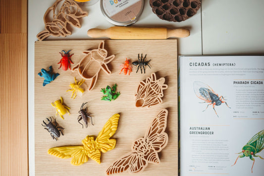 Cicada & Shell Eco Cutter Set