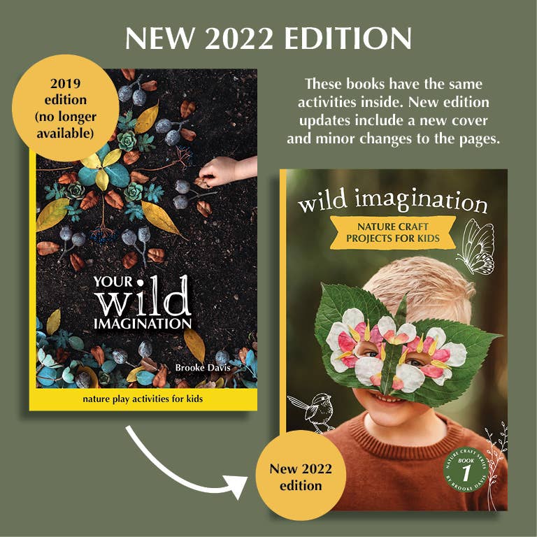 Wild Imagination Book