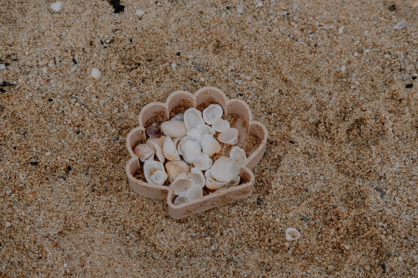 Sea Shell Eco Mould