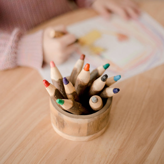 Tree Color Pencils With Holder