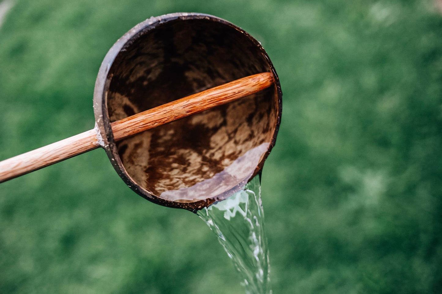 Coconut Shell Water Scoop