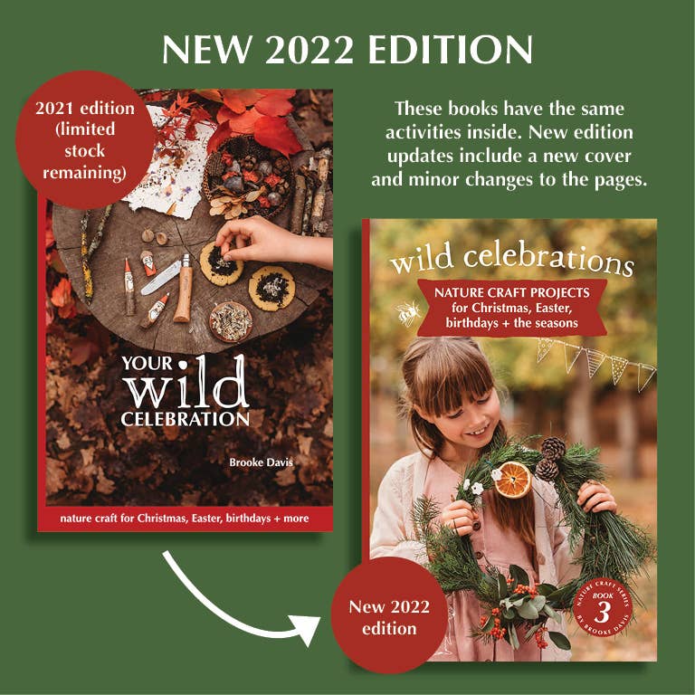 Wild Celebrations Book