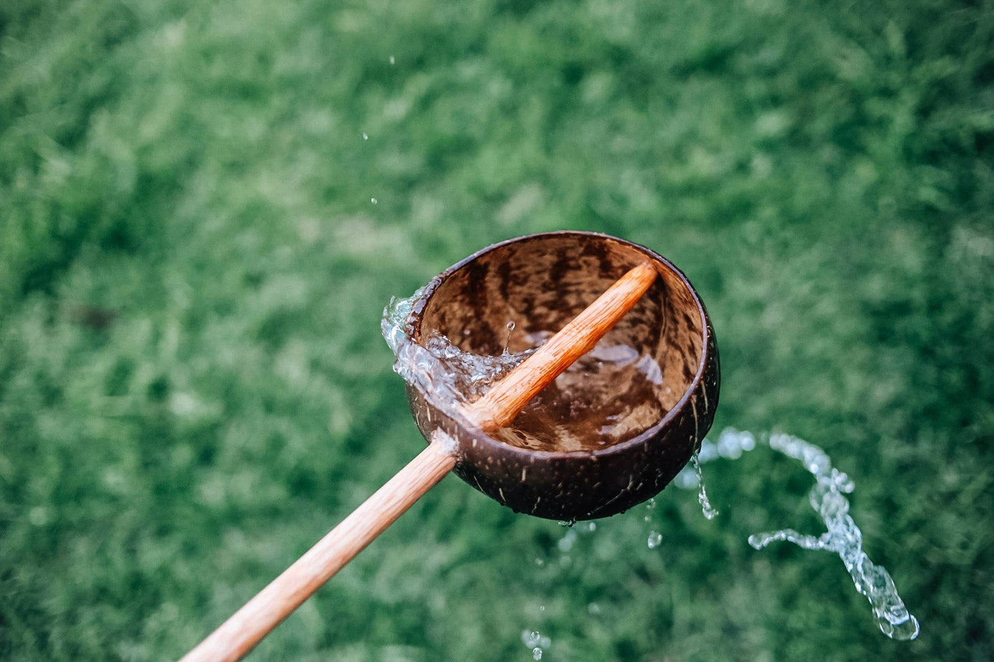 Coconut Shell Water Scoop